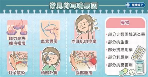 頭轉動耳朵有聲音|您有神經性耳鳴嗎？六大警訊不可不知